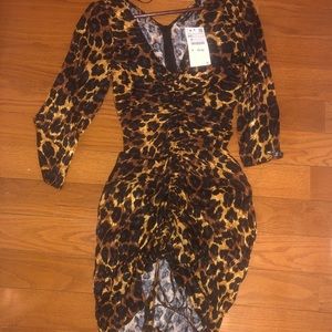 Zara Leopard Dress